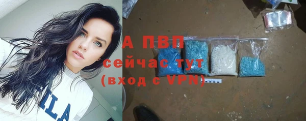 гидра Баксан
