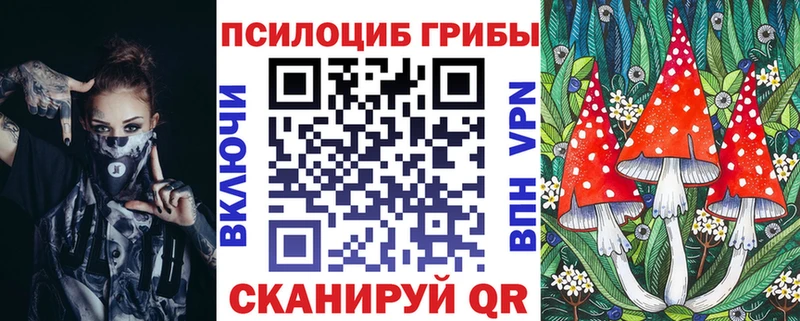 Псилоцибиновые грибы Cubensis  hydra зеркало  Печора  как найти закладки 